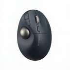 Mouse KENSINGTON TB550, Negro