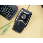 Mouse KENSINGTON K64325 13.8", Negro